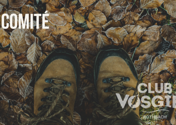 Le Comité et les Guides