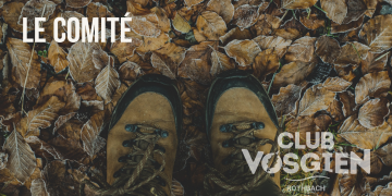 Le Comité et les Guides