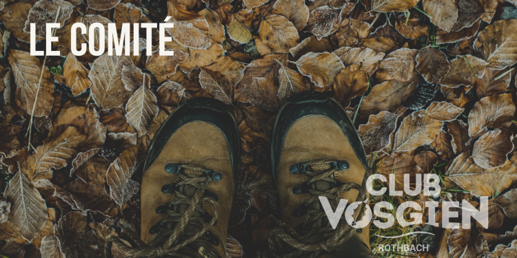 Le Comité et les Guides