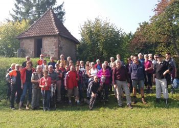 Marche et soupe aux pois