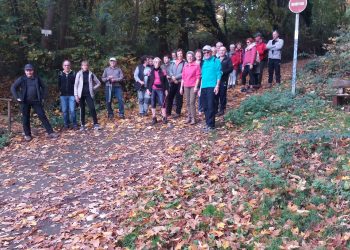 COVID-19 : Les activités suspendues !