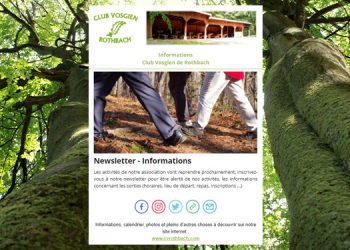 Newsletter : Inscrivez-vous !