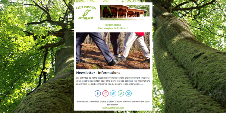 Newsletter : Inscrivez-vous !