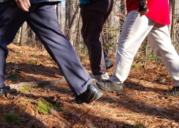 Covid-19 : Reprise des activités