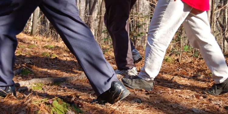 Covid-19 : Reprise des activités